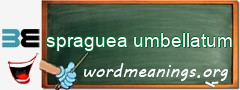 WordMeaning blackboard for spraguea umbellatum